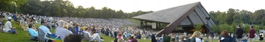 Blossom Panorama